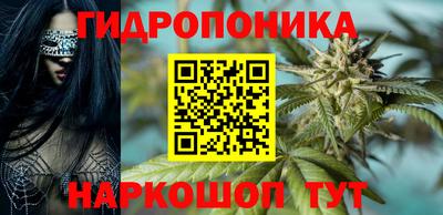 шишки Гусиноозёрск