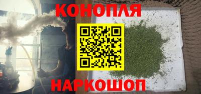 шишки Гусиноозёрск