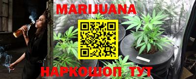 шишки Гусиноозёрск