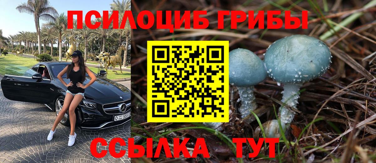 Георгиевск  Псилоцибиновые грибы ЛСД  закладка  Вход с VPN 