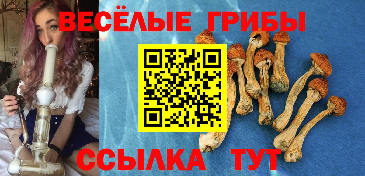 Псилоцибиновые грибы GOLDEN TEACHER Георгиевск